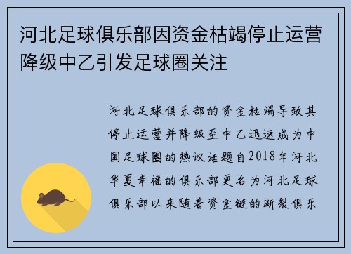 河北足球俱乐部因资金枯竭停止运营降级中乙引发足球圈关注